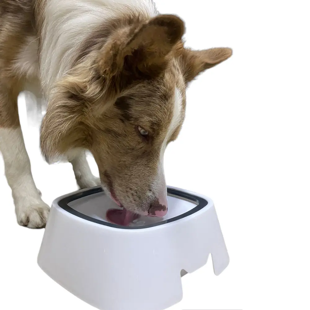 Bebedero antiderrames para perros, sin salpicaduras, de 1.5L.