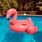 Flotador Flamenco Inflable Piscina Pool - Imagen 4