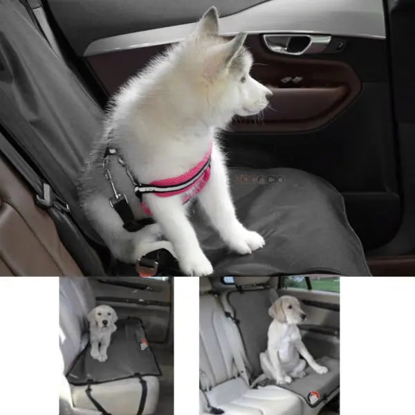 Funda forro De Asiento Individual De Coche Para Mascotas - Imagen 1
