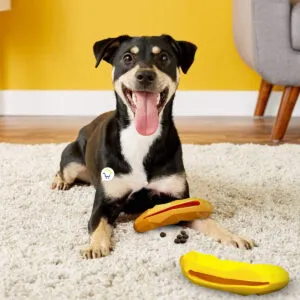 Perro feliz jugando con set de 2 juguetes interactivos porta croquetas.