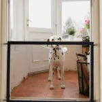 Malla de seguridad para mascotas, dálmata parado en puerta con malla de protección negra.