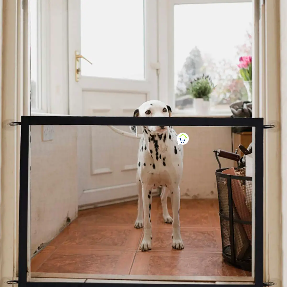 Malla de seguridad para mascotas, dálmata parado en puerta con malla de protección negra.