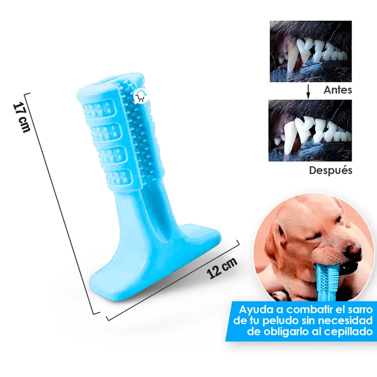 Set x2 Juguete Cepillo Dientes Grande Mascota Rasca Encías - Imagen 14