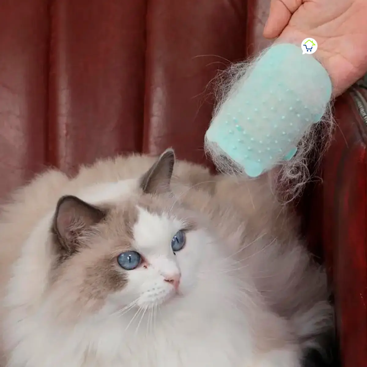 Gato ragdoll esponjoso con rascador de silicona que elimina el pelo.