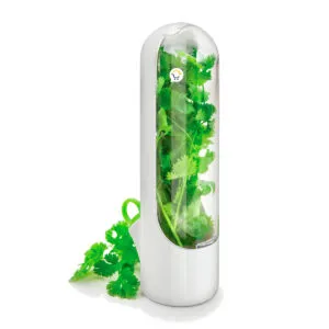 Recipiente blanco para conservar hierbas frescas como cilantro, manteniendo su frescura.