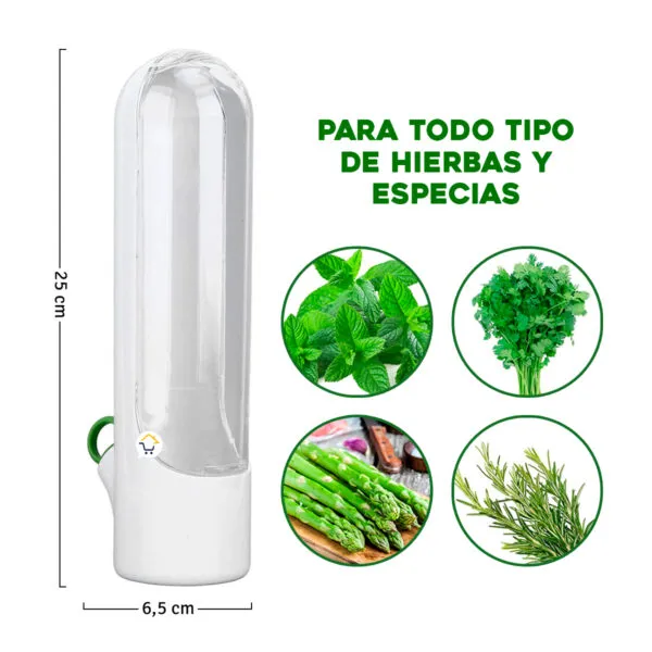 Recipiente para conservar hierbas y especias frescas como menta, cilantro, espárragos y romero.