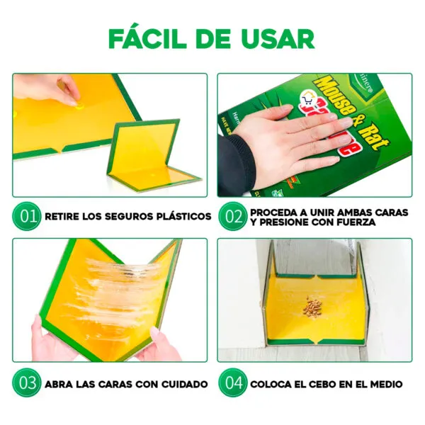 Set x3 trampas pegamento ratón pegante mata ratas: instrucciones de uso y armado.