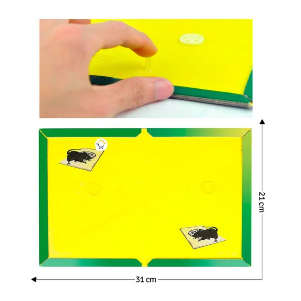 Trampas pegajosas para ratones de 31x21cm, con pegamento extra fuerte.
