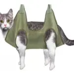 Hamaca para gato gris y blanco en soporte para uñas y aseo, manos libres.