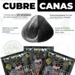 Set x10 Sobres Shampoo Cubre Canas Negro -Tinte Natural Sin Amoniaco - Imagen 5