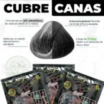 Shampoo cubre canas negro, tinte natural sin amoniaco, cabello brillante.