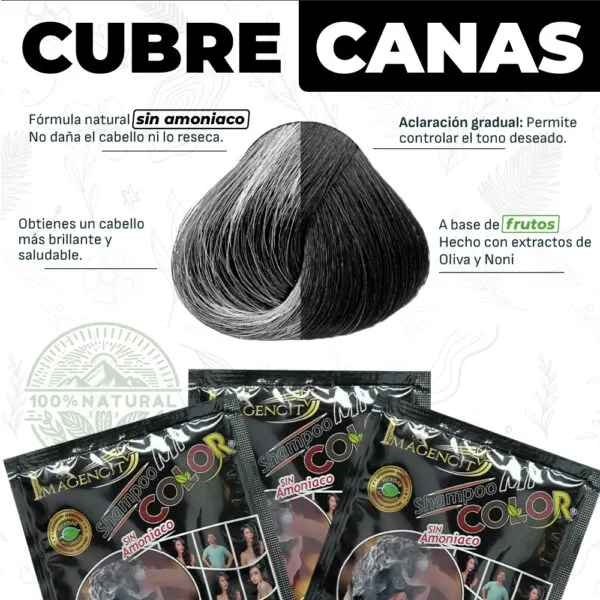 Shampoo cubre canas negro, tinte natural sin amoniaco, cabello brillante.