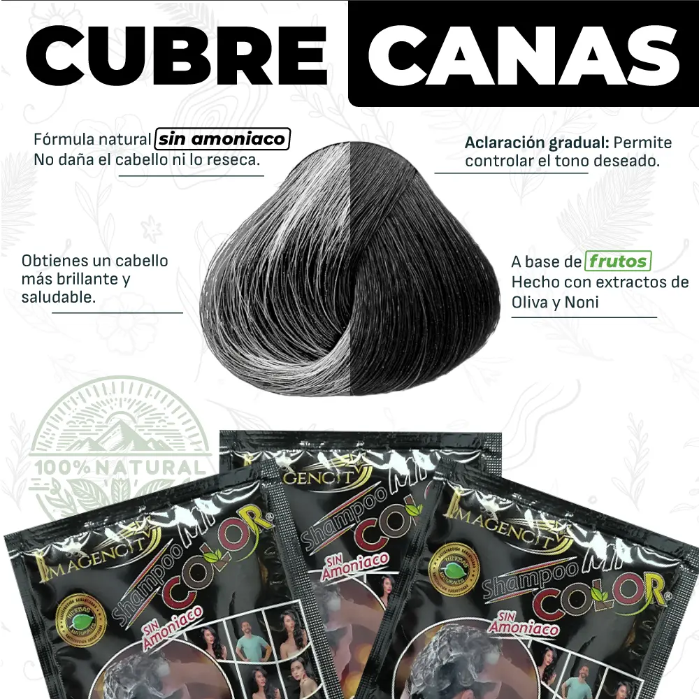 Shampoo cubre canas negro, tinte natural sin amoniaco, cabello brillante.