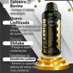 MegaBriom 1000ml Fitovit: suplemento con calostro bovino, huevo liofilizado, hongo shiitake y ganoderma lucidum.