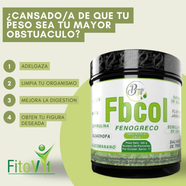 Fibra Col  X500 Gr Fito Vit - Imagen 2