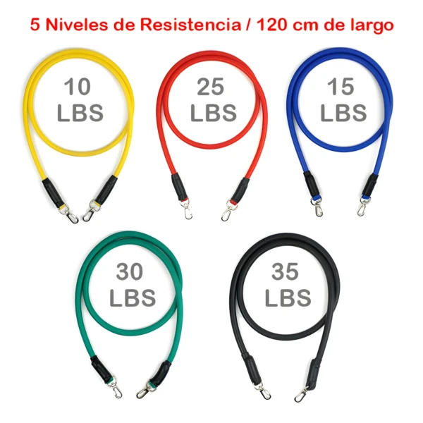 Bandas Tubulares de 5 Niveles de Resistencia - Imagen 3