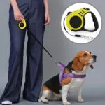Correa retráctil para perros de 5 metros, con arnés morado, ideal para paseos.