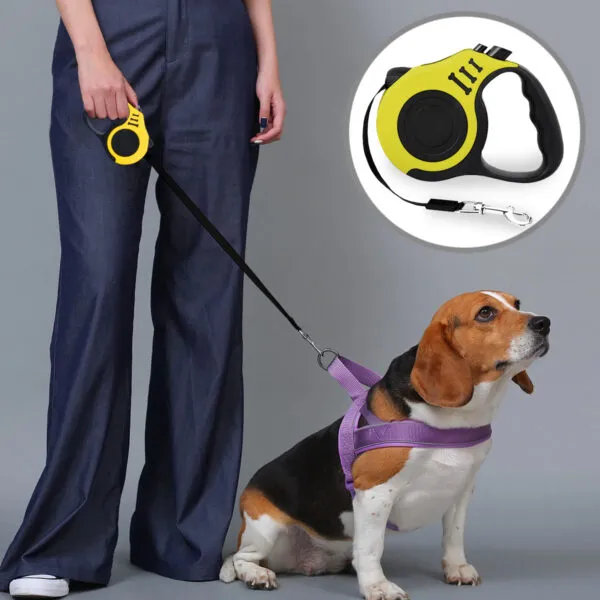 Correa retráctil para perros de 5 metros, con arnés morado, ideal para paseos.