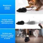 Set de 2 ratones de juguete con control remoto para gatos: movimiento natural y control fácil.