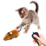 Gatito interactúa con ratón de control remoto inalámbrico para jugar.