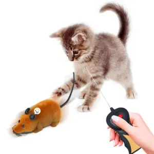 Gatito interactúa con ratón de control remoto inalámbrico para jugar.