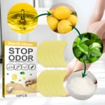 Parches eliminadores de olor para zapatos North Moon con menta, limón y aceite esencial.