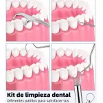 Kit de limpieza dental con palillos de acero para higiene bucal, mostrando diferentes herramientas para dientes.