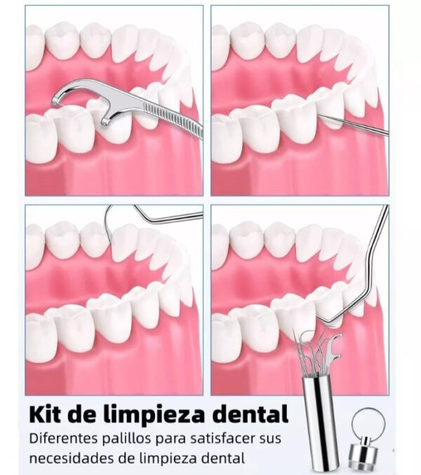 Kit De Limpieza Dental Palillo De Acero - Imagen 1