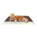 Gato Maine Coon atigrado naranja descansando en cama mullida con franjas marrones y claras.