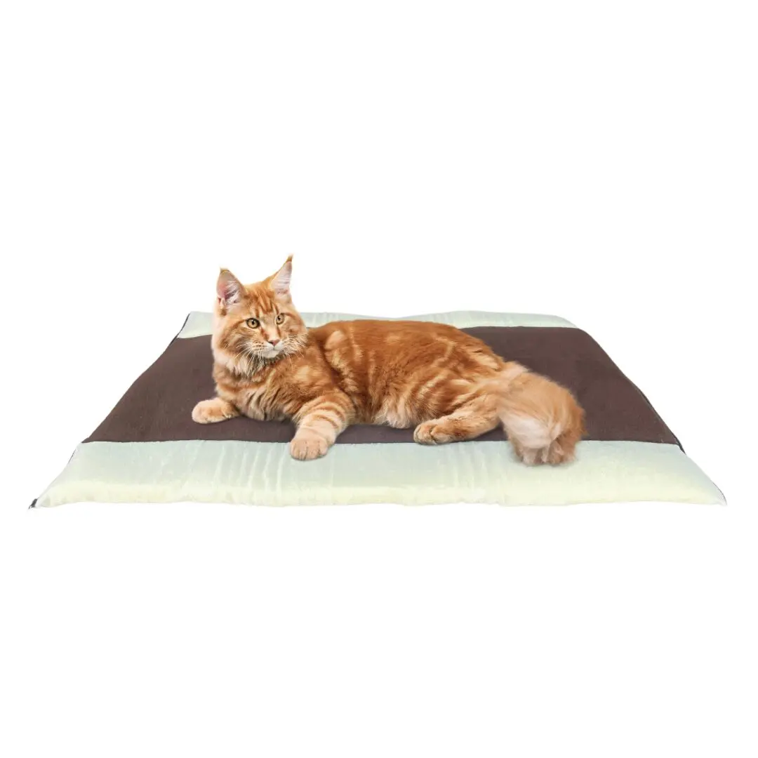 Gato Maine Coon atigrado naranja descansando en cama mullida con franjas marrones y claras.