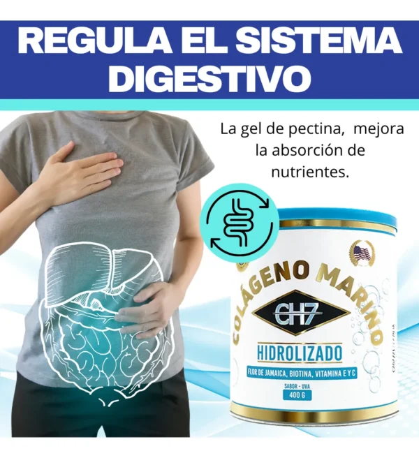 Colágeno Hidrolizado Marino CH7: regula el sistema digestivo, mejora absorción de nutrientes. Sabor uva.