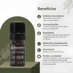 Aceite esencial de eucalipto puro para alivio muscular, concentración y repelente de insectos.