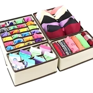 Organizador De Ropa Interior Y Medias X4