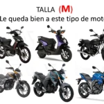 Pijama para moto Forro Semi Impermeable: 6 tipos de motos estilo deportivo y scooter.