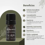 Aceite esencial de eucalipto 100% puro para aliviar dolor muscular, mejorar concentración, repeler mosquitos.