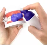 Persona aplica espuma blanqueadora Dentalx2 en modelo de dientes para demostración.