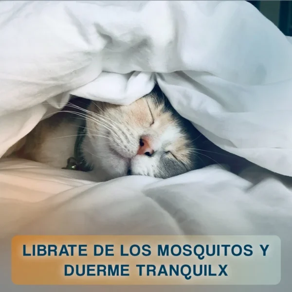 Gato durmiendo en la cama, tranquilo y libre de mosquitos con la raqueta eléctrica.