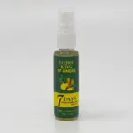 Frasco con atomizador de aceite de jengibre EELHOE de 30 ml, con etiqueta verde y amarilla para el fortalecimiento de la raíz capilar.