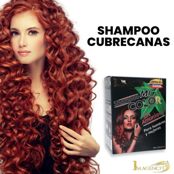 Shampoo Gama Rojo X10 Imagencit - Imagen 2