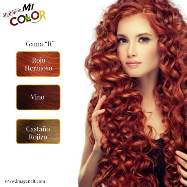 Shampoo Gama Rojo X10 Imagencit - Imagen 3