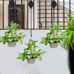 Poleas negras para materas colgantes con plantas verdes, diseño moderno en balcón.