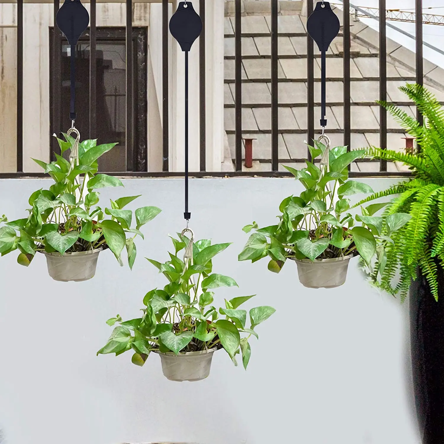 Poleas negras para materas colgantes con plantas verdes, diseño moderno en balcón.
