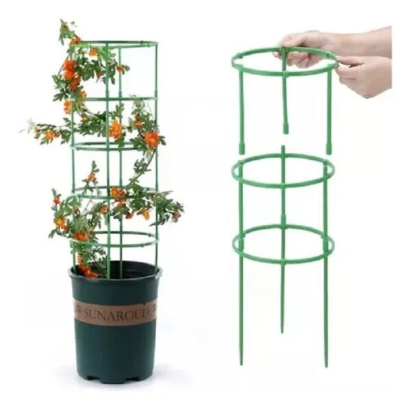 Soporte Plantas Enredaderas Matas Rosas - Imagen 4