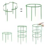 Soporte Plantas Enredaderas Matas Rosas - Imagen 2