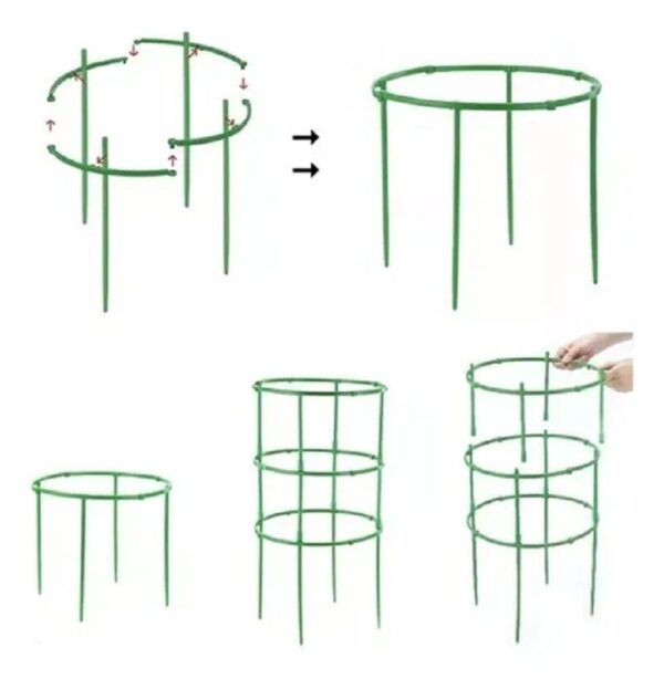 Soporte Plantas Enredaderas Matas Rosas - Imagen 2