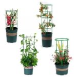 Soporte Plantas Enredaderas Matas Rosas - Imagen 1