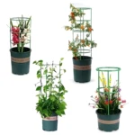 Soporte metálico verde para plantas enredaderas, matas y rosas, en maceta oscura.