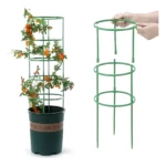 Soporte enrejado verde para plantas enredaderas, matas y rosas, ensamblado y en maceta.