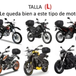 Carpa para moto negra con maletero, talla L, ideal para varios tipos de motocicletas.