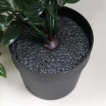 Planta Colgante Verde con Maceta - Imagen 2